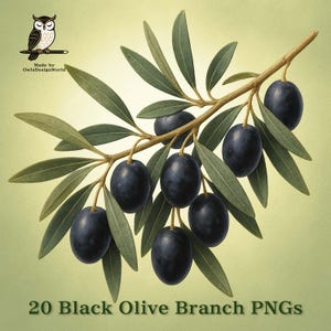 K&ouml;nnte beinhalten: Digitale Illustration eines Zweigs mit schwarzen Oliven und gr&uuml;nen Bl&auml;ttern. Der Zweig ist braun und hat mehrere dunkelviolette Oliven. Der Text "20 Black Olive Branch PNGs" steht unten. Ein Eulenlogo befindet sich in der oberen linken Ecke.
