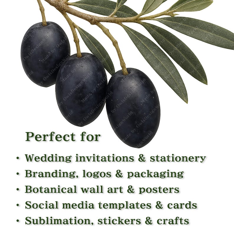 K&ouml;nnte beinhalten: Ein Olivenzweig mit drei dunklen, ovalen Oliven und gr&uuml;nen Bl&auml;ttern. Der Text "Perfect for" steht &uuml;ber einer Liste von Verwendungszwecken, darunter Hochzeitseinladungen und botanische Kunst.