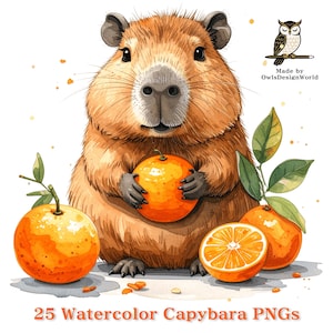 Peut inclure: Illustration à l'aquarelle d'un capybara tenant une orange, avec d'autres oranges et des feuilles. Le capybara est brun avec un nez et des oreilles gris. L'image comprend le texte "25 Watercolor Capybara PNGs" et un logo "Made by OwlsDesignWorld".