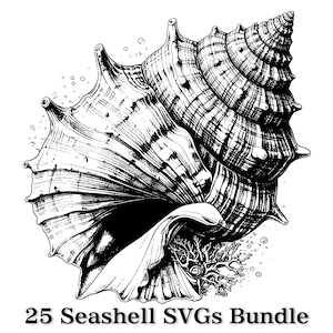 Seashell SVG Bundle, Vintage Shell Clipart, Ocean Shell, Beach SVG, Engraving Shell Illustration, Coastal Decor SVG