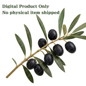 K&ouml;nnte beinhalten: Digitales Bild eines Olivenzweigs mit reifen, schwarzen Oliven. Die Bl&auml;tter sind gr&uuml;n und der Zweig hellbraun. Der Text "Digital Product Only No physical item shipped" steht oben.