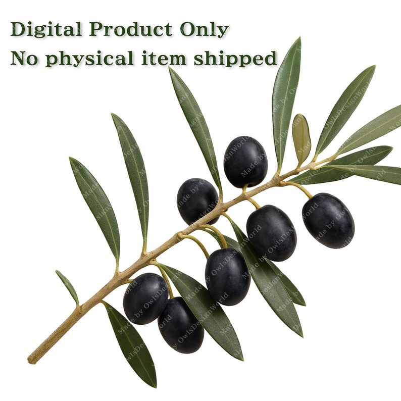 K&ouml;nnte beinhalten: Digitales Bild eines Olivenzweigs mit reifen, schwarzen Oliven. Die Bl&auml;tter sind gr&uuml;n und der Zweig hellbraun. Der Text "Digital Product Only No physical item shipped" steht oben.