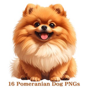 Könnte beinhalten: Digitale Illustration eines Zwergspitzes mit orangefarbenem und cremefarbenem Fell. Der Hund lächelt und hat die Zunge herausgestreckt. Der Text unten lautet "16 Pomeranian Dog PNGs".