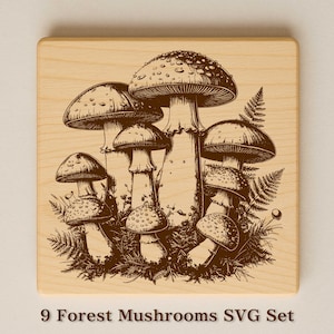 Puede incluir: Un cuadrado de madera presenta una ilustración sepia detallada de nueve setas del bosque. Las setas, de varios tamaños y formas, tienen sombreros punteados y tallos detallados, rodeadas de helechos. El texto "9 Forest Mushrooms SVG Set" está en la parte inferior.