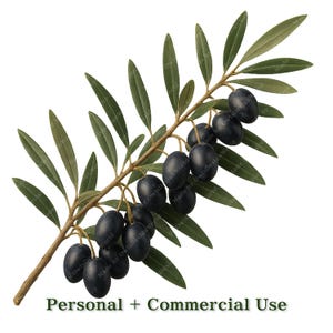 K&ouml;nnte beinhalten: Illustration eines Olivenzweigs mit gr&uuml;nen Bl&auml;ttern und dunkelvioletten Oliven. Der Zweig ist braun und der Text "Personal + Commercial Use" befindet sich unten.