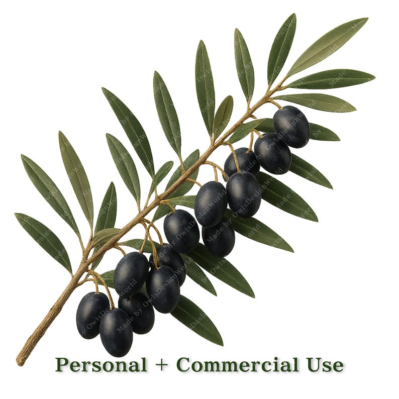 K&ouml;nnte beinhalten: Illustration eines Olivenzweigs mit gr&uuml;nen Bl&auml;ttern und dunkelvioletten Oliven. Der Zweig ist braun und der Text "Personal + Commercial Use" befindet sich unten.