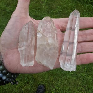 May include: Three clear, translucent quartz crystal points with natural facets and irregular edges. The crystals vary in shape and size, displaying internal inclusions and reflective surfaces. Each piece has a distinct, pointed termination.