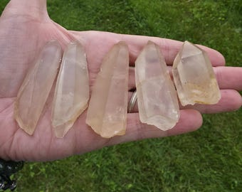 Tangerine Lemurian Quartz set of five- with white phantoms