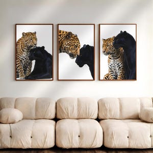 Juego de 3 impresiones de leopardo y pantera negra / Arte mural de pumas / Impresiones modernas de vida silvestre / Decoración de jungla de lujo / Descarga digital