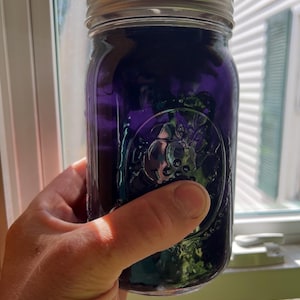 ghost pipe tincture