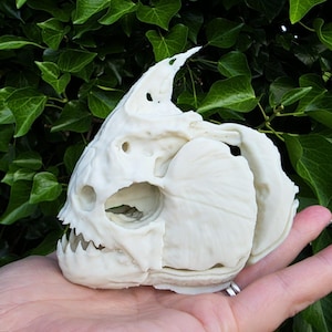 Piranha fish taxidermy - Etsy 日本