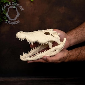 Nil Krokodil Schädel Replik: 23 cm Knochen PLA Fossilien Modell, Gothic Home Decor