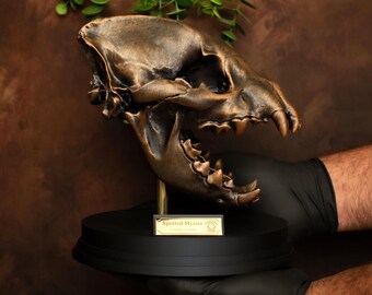 Bronze Hyena Skull Replica: Museum-Style Desk Decor, Handmade