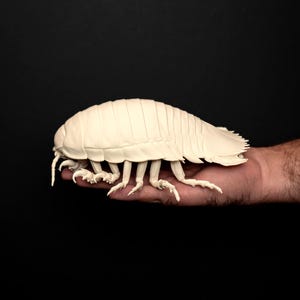 Isópodo marino gigante / Tamaño natural 20 cm / Kit de 2 piezas para autoacabado y pintura