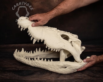 クロマニヨン人の頭蓋骨のレプリカ - Etsy 日本