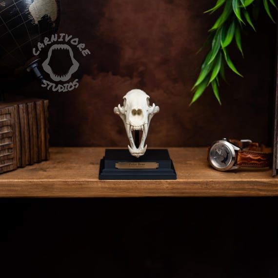 Polar Bear Skull Replica | Miniature 3D Printed Collectable With