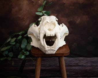 巨大なジャガーの頭蓋骨のレプリカ - Etsy 日本