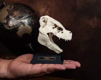 ゴジラスカル　Godzilla skull　ガレージキット　頭骨　頭蓋骨 ゴジラスカル Godzilla skull ガレージキット 頭骨 頭蓋骨 ゴジラ