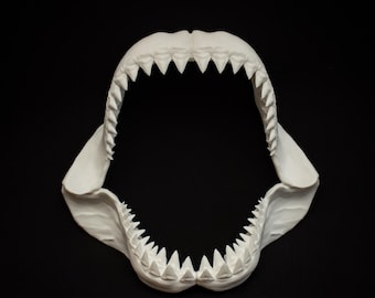 White Shark Jaw 16 inch Replica – Megalodon Teeth Display (40cm)