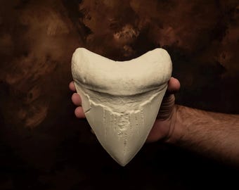 40cmの巨大メガロドンサメの歯レプリカ!! - Etsy 日本