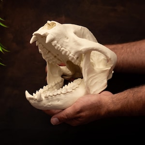 Giant Panda Skull Replica: Lifesize Bone-Colored 3D Print, 26cm