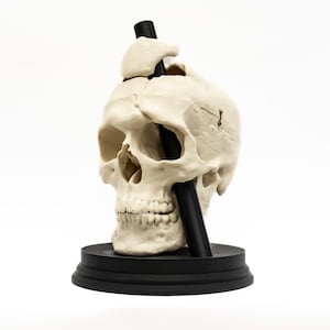 May include: An off-white anatomical skull model featuring a visible suture line and a small metal hook on the side. A smooth black cylindrical rod passes vertically through the cranium, and the entire structure is mounted on a circular black base.