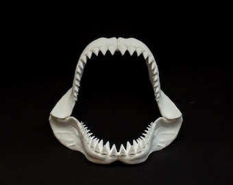Megalodon Shark Jaw Replica: Bone-Colored 3D Print, Display Model