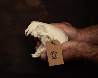 ウルヴァリンの爪の骨格腕 1:1等身大 アダマンチウム製骨格レプリカ像