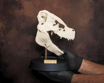 Kaiju Sin God-zilla Tail Skull - Etsy