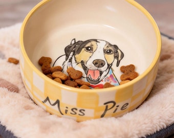 Hand-Painted Pet Bowl, Personalized Ceramic Dog Food & Water Dish