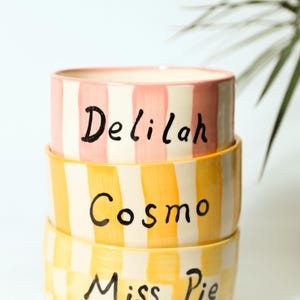 May include: Three stacked ceramic pet bowls. The top bowl is pink and white striped, the middle bowl is yellow and white striped, and the bottom bowl is yellow and white checkered. Each bowl has a pet's name written in black.