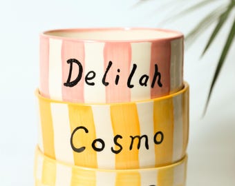 Hand-Painted Pet Bowl, Personalized Ceramic Dog Food & Water Dish