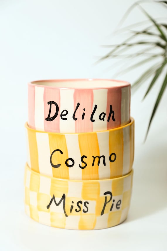 Hand-Painted Pet Bowl, Personalized Ceramic Dog Food & Water Dish