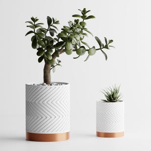 Op de afbeelding: Twee witte keramische plantenpotten met een koperkleurige basis, één groot en één klein, elk met een textuur chevronpatroon. De grotere pot bevat een jadeplant en de kleinere een vetplant.