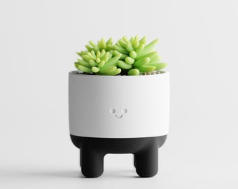 Plant Pot Melo – Lekfull Smiley Face Suckulentkruka