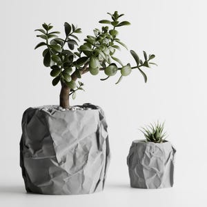 May include: Two grey, textured planters, one large and one small, each holding a green plant. The larger planter has a small tree with a brown trunk and green leaves. The smaller planter has a succulent.