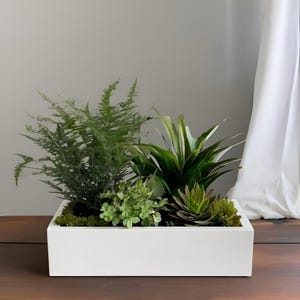 May include: A white rectangular planter box filled with a variety of green plants and succulents. The arrangement includes ferns, small succulents, and other leafy plants, creating a natural display. The planter sits on a wooden surface.