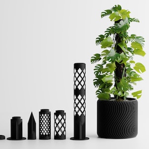Modular Climbing Moss Pole Planter – Expandable Support System for Indoor Plants