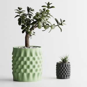May include: Two potted plants against a white backdrop. A jade plant sits in a light green textured pot, and a succulent in a dark grey textured pot. The pots feature a repeating pattern. The plants are indoors.
