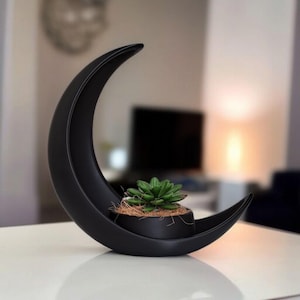 May include: A black, crescent moon-shaped planter with a small succulent. The planter has a smooth, matte finish and a small, round pot for the plant. The succulent is green with multiple leaves.