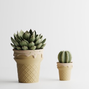 May include: Two decorative planters shaped like ice cream cones. The larger planter holds a succulent with green leaves, and the smaller one contains a cactus. Both planters are beige with a waffle cone design.