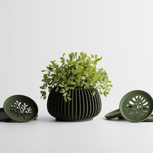 May include: A dark green, ribbed planter with a leafy plant and matching saucers. The saucers feature a leaf-like cutout design. The theme is home decor and gardening.