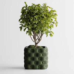 Peut inclure: Un petit arbre feuillu dans un pot carré vert foncé capitonné. L'arbre a un tronc et des branches bruns avec des feuilles vertes vibrantes. Le pot a un design capitonné, ajoutant une touche d'élégance.