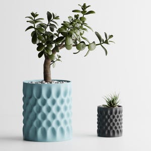 May include: Two decorative planters with plants. A large, light blue planter with a textured pattern holds a jade plant. A smaller, dark grey planter with a similar pattern contains a small succulent. The plants are set against a white background.