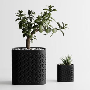 Puede incluir: Dos macetas negras con patrones geométricos, una grande y otra pequeña, cada una con una suculenta diferente. La maceta más grande contiene una planta de jade con hojas verdes pequeñas y guijarros blancos. La maceta más pequeña tiene una suculenta.