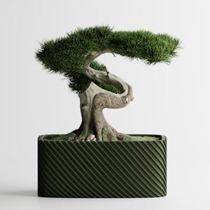 Peut inclure: Un bonsaï méticuleusement conçu dans un pot rectangulaire vert foncé. L'arbre présente un tronc torsadé et un feuillage vert luxuriant, créant une esthétique sereine et naturelle. Le pot a un motif de rayures diagonales texturées.