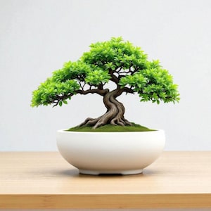 May include: A miniature bonsai tree in a white ceramic pot. The tree features bright green foliage and a textured, brown trunk. The pot rests on a light-coloured wooden surface, against a plain white backdrop.