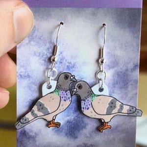Pigeon (Rock Dove) earrings