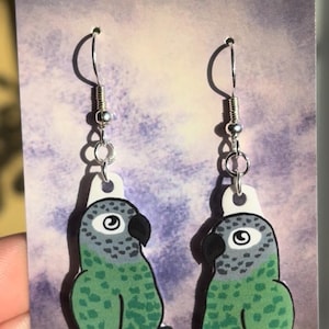 Conure Parrot Earrings