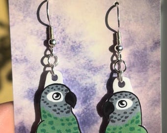 Conure Parrot Earrings